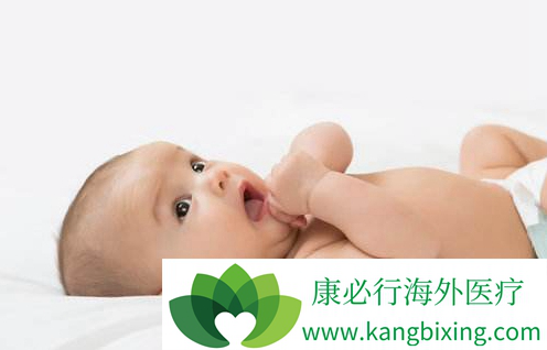 单身同志供卵公司生殖中心
